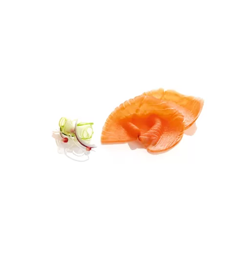 nature-salmon-1